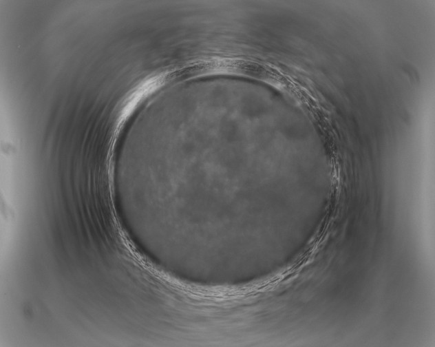 X0000091100006200708061429