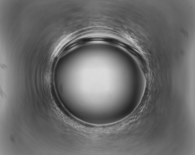 X0000091100007200708061429