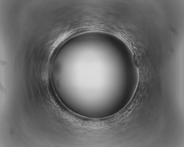 X0000091100008200708061429