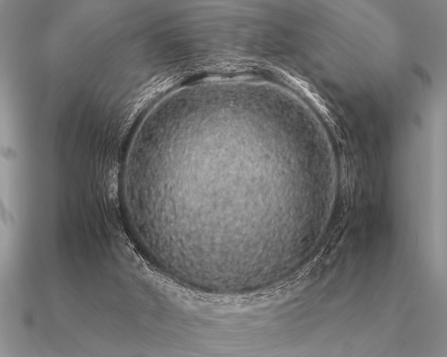 X0000091100010200708061429