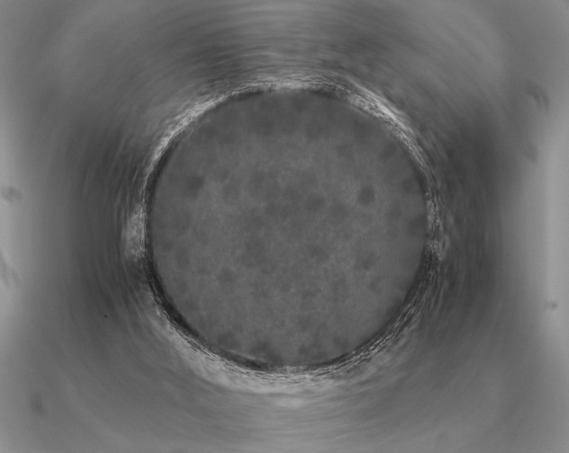 X0000091100012200708061429