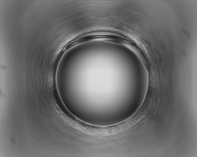 X0000091100015200708061429