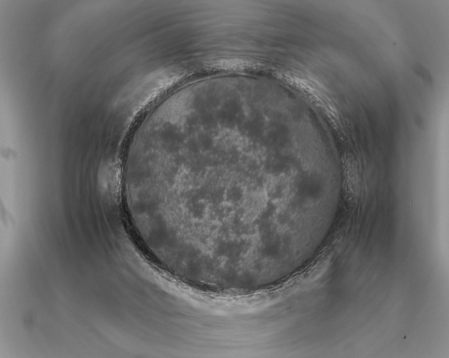 X0000091100016200708061429