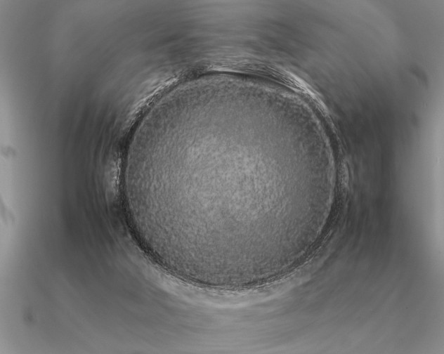 X0000091100018200708061429