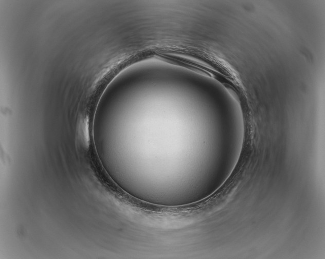 X0000091100020200708061429