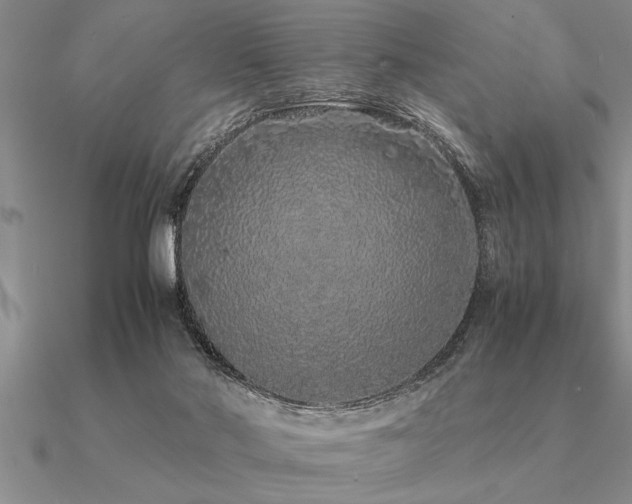 X0000091100022200708061429