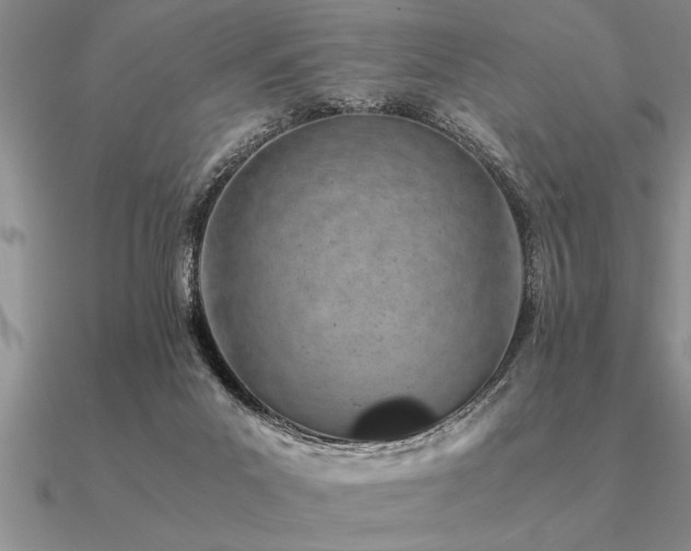 X0000091100023200708061429