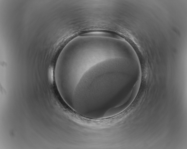 X0000091100027200708061429