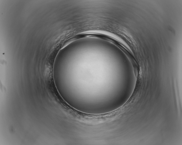 X0000091100029200708061429