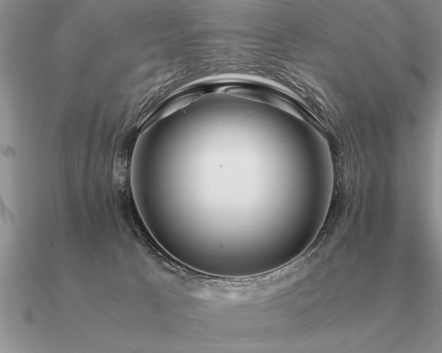 X0000091100033200708061429