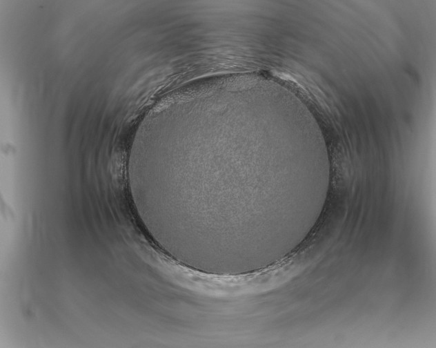 X0000091100034200708061429