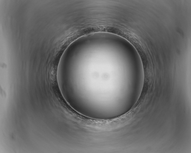 X0000091100037200708061429