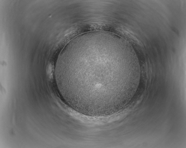 X0000091100038200708061429