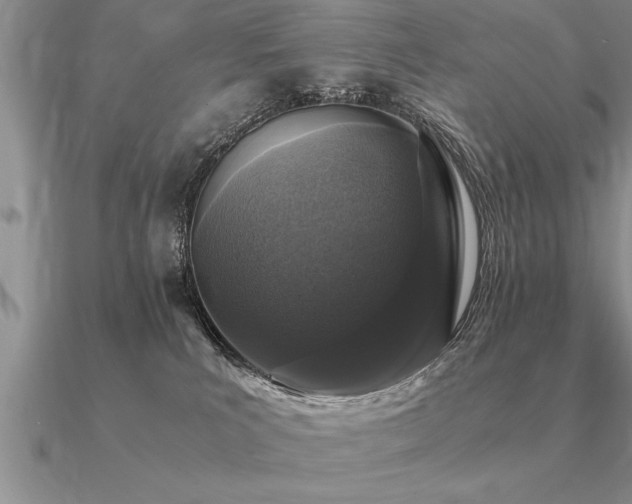 X0000091100039200708061429