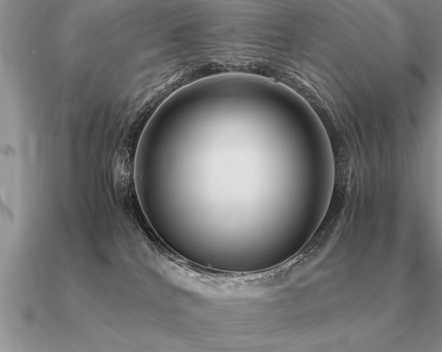 X0000091100040200708061429