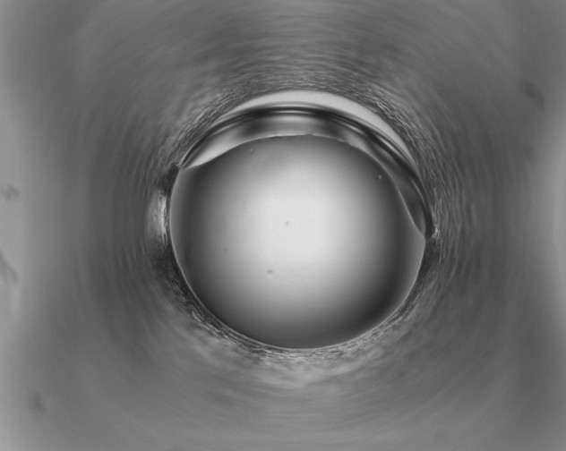 X0000091100041200708061429