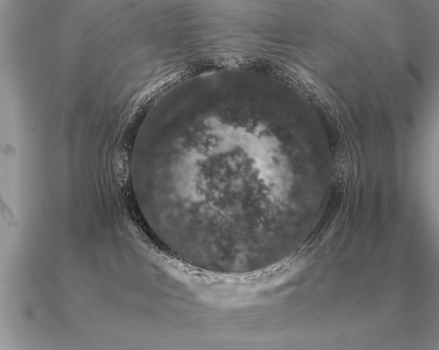 X0000091100043200708061429