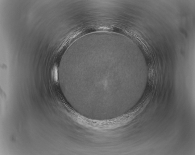 X0000091100046200708061429