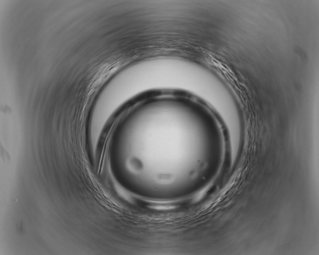 X0000091100049200708061428