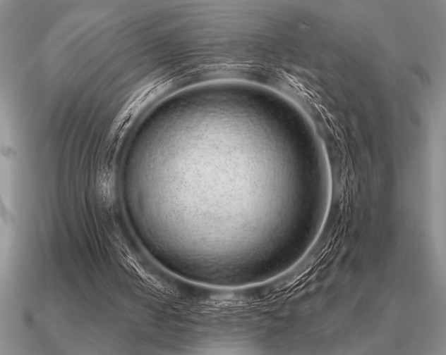 X0000091100050200708061428