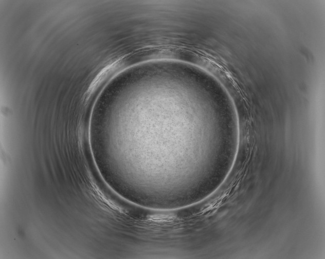 X0000091100051200708061428