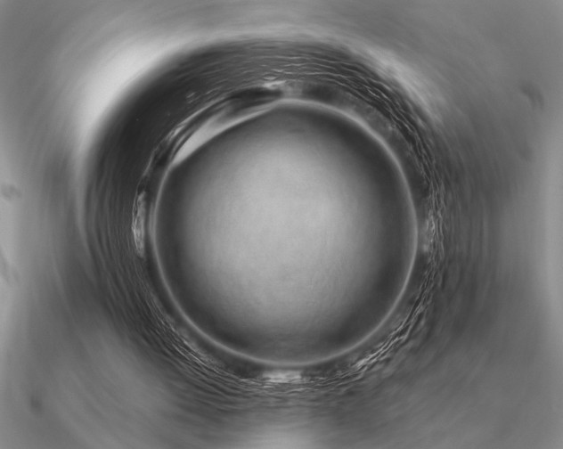 X0000091100052200708061428