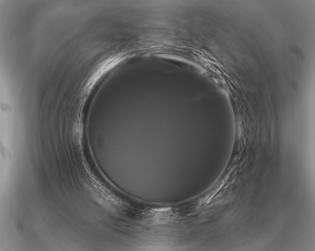 X0000091100054200708061428