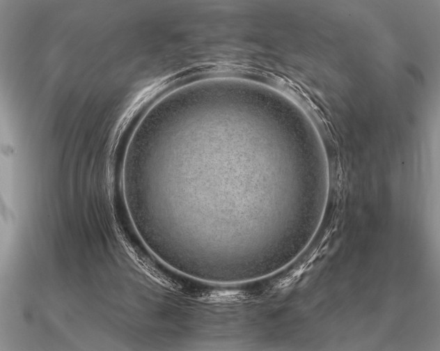 X0000091100055200708061428