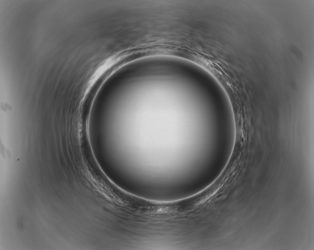 X0000091100056200708061428