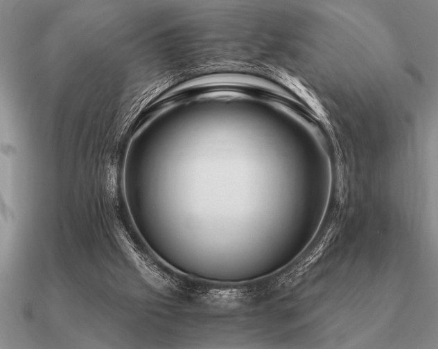 X0000091100057200708061428