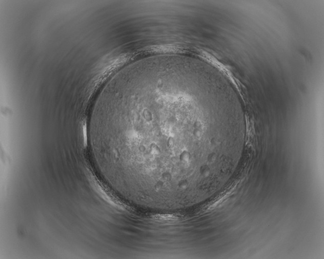 X0000091100061200708061428