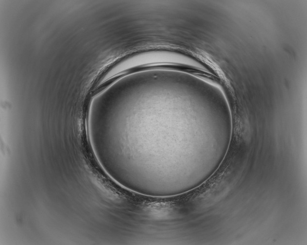 X0000091100063200708061428