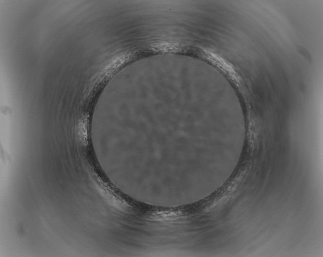 X0000091100065200708061428