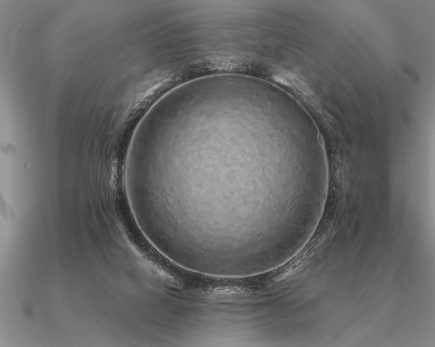 X0000091100066200708061428