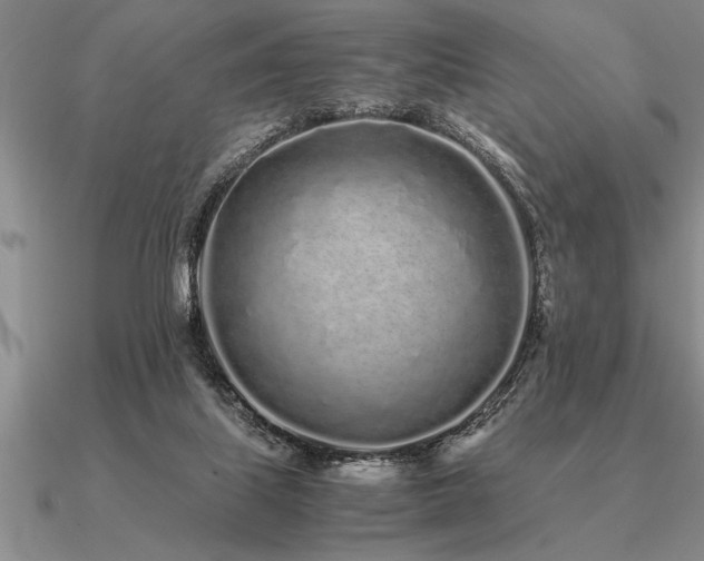 X0000091100067200708061428