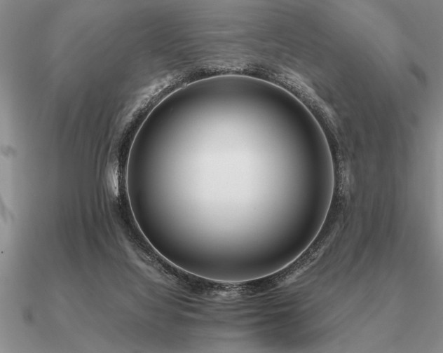 X0000091100068200708061428