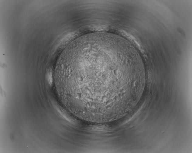 X0000091100069200708061428