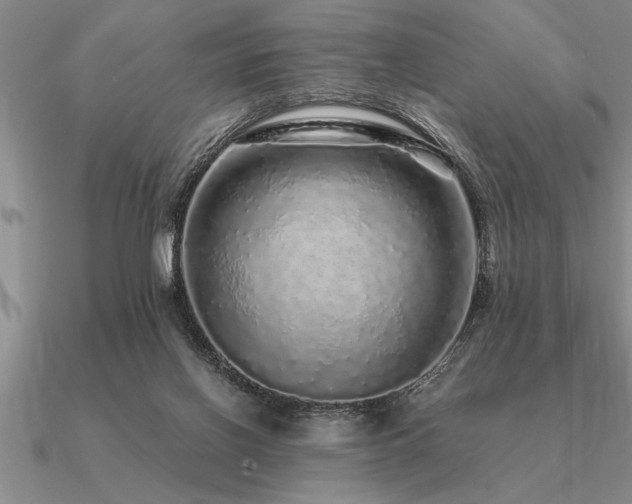 X0000091100070200708061428