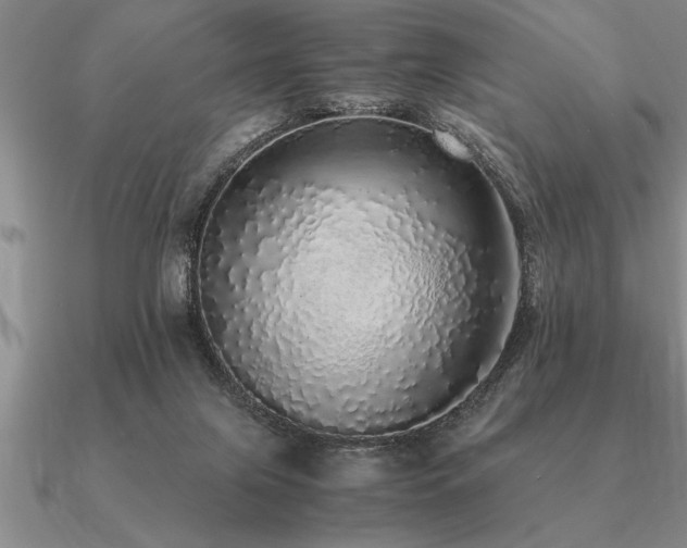 X0000091100071200708061428