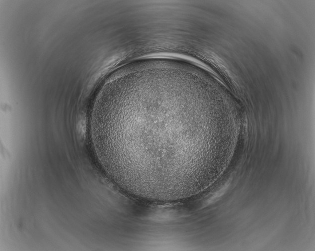 X0000091100072200708061428