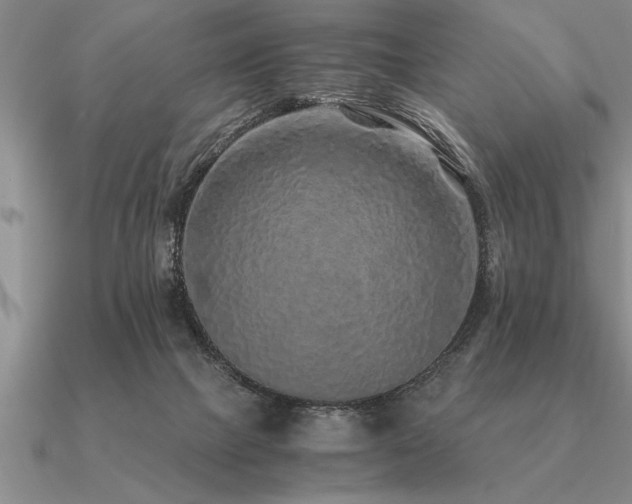 X0000091100073200708061428