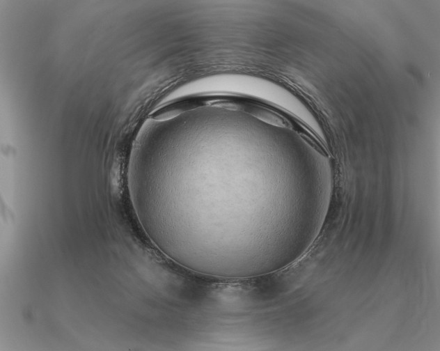 X0000091100074200708061428