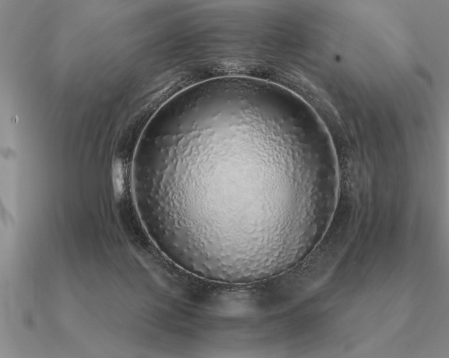 X0000091100075200708061428