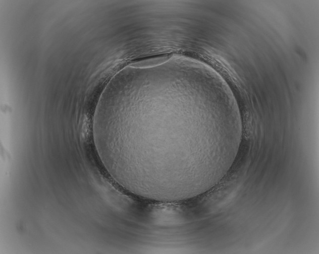 X0000091100077200708061428