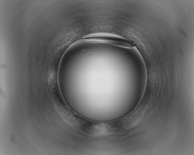 X0000091100079200708061428