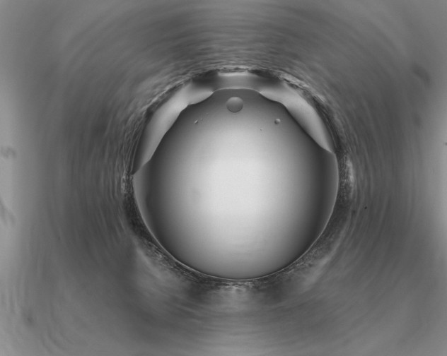 X0000091100080200708061428