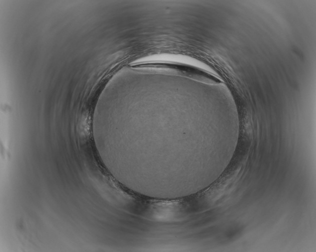 X0000091100081200708061428