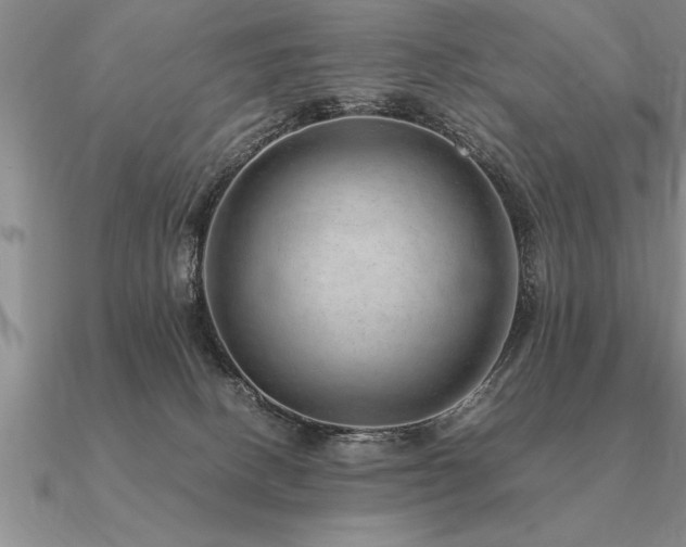 X0000091100082200708061428