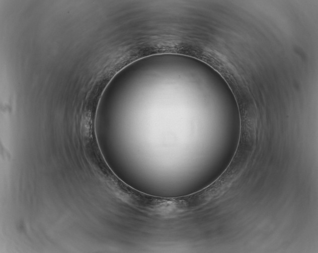 X0000091100083200708061428