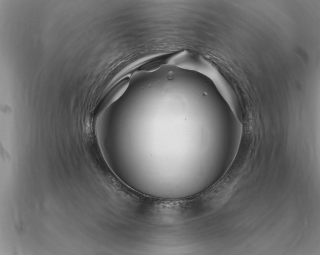 X0000091100084200708061428